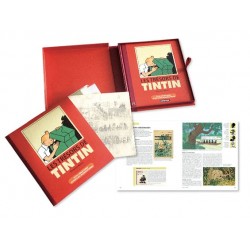 Livre Moulinsart Tintin - Coffret : Les Trésors de Tintin