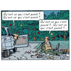 Voiture Moulinsart Tintin - Ami 6 du Docteur (Coll. Atlas)