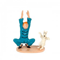 Pixi Moulinsart Tintin - 3ème série - Tintin et Milou gymnastique