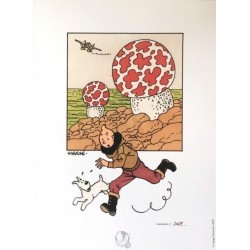 Lithographie Moulinsart Tintin - Tintin et Milou aviateur 18x23