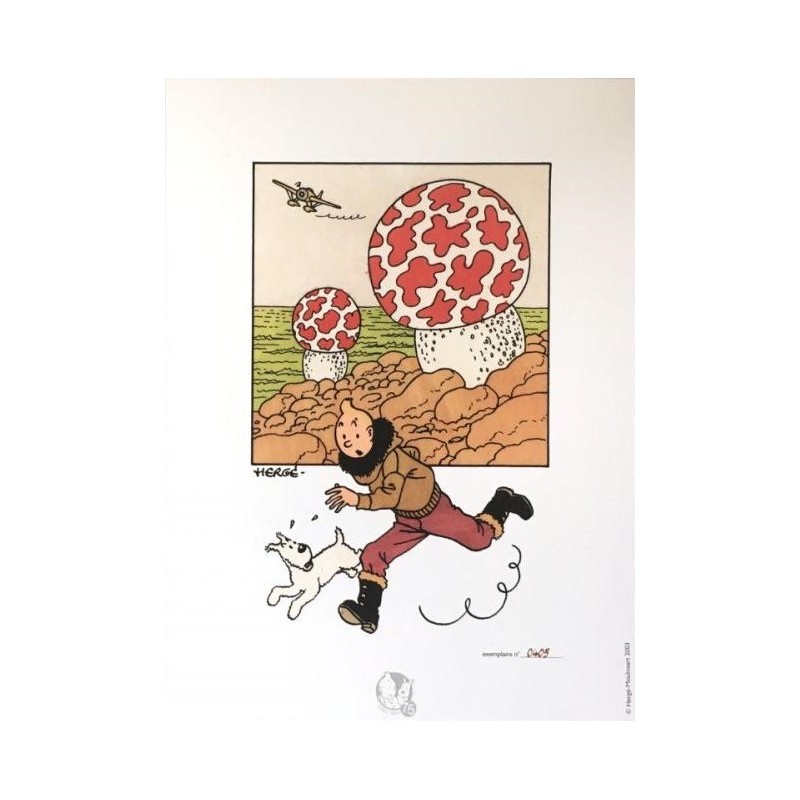 Lithographie Moulinsart Tintin - Tintin et Milou aviateur 18x23