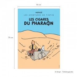 Poster Moulinsart Tintin - CV27 Les Cigares du Pharaon colorisé