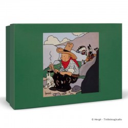 Moulinsart Tintin - Tintin Indien Amérique VO
