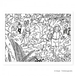 Papeterie Moulinsart Tintin - Album à colorier Tibet